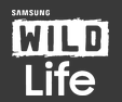 Watch wildlife tv en vivo online